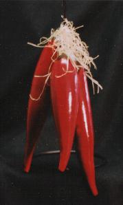 Beautiful Chili Pepper Trio created by Award Winning Artist Nadiya Littlewarrior